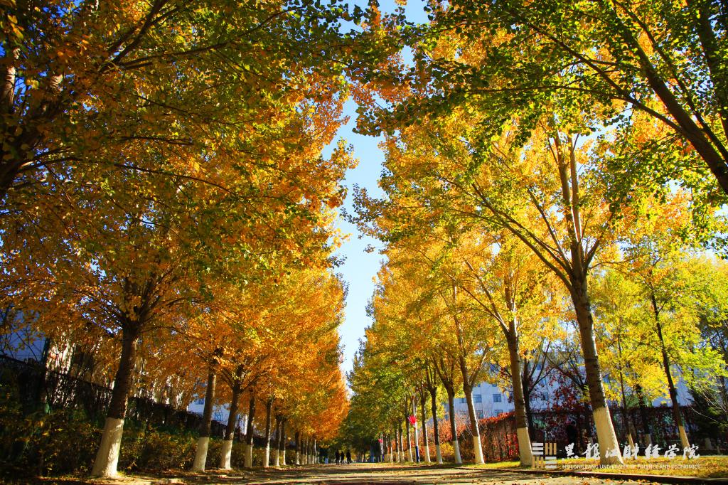 校园风光-黑龙江财经学院