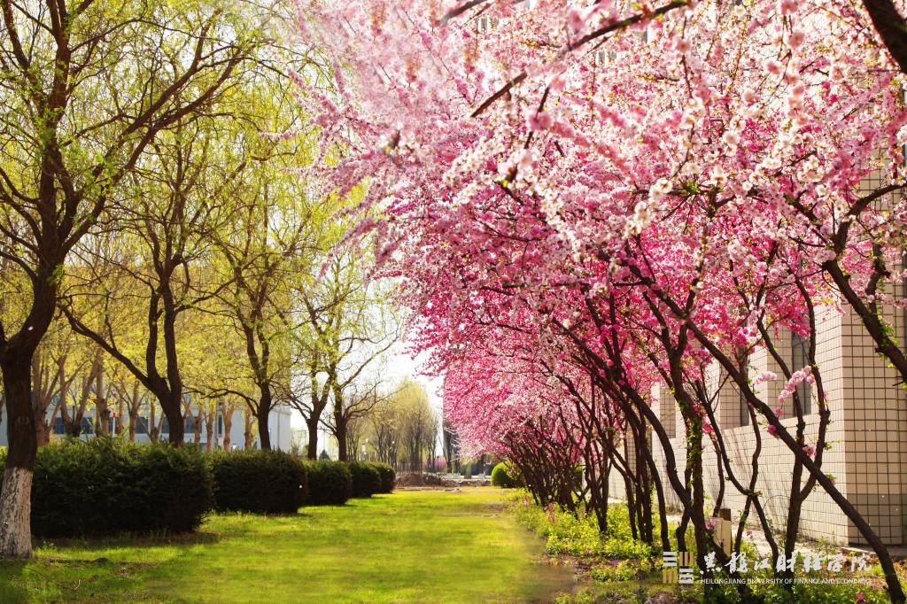 校园风光-黑龙江财经学院