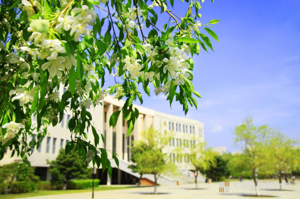 校园风光-黑龙江财经学院